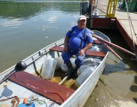 Zarybienie sandaczem na Jeziorze Czchowskim